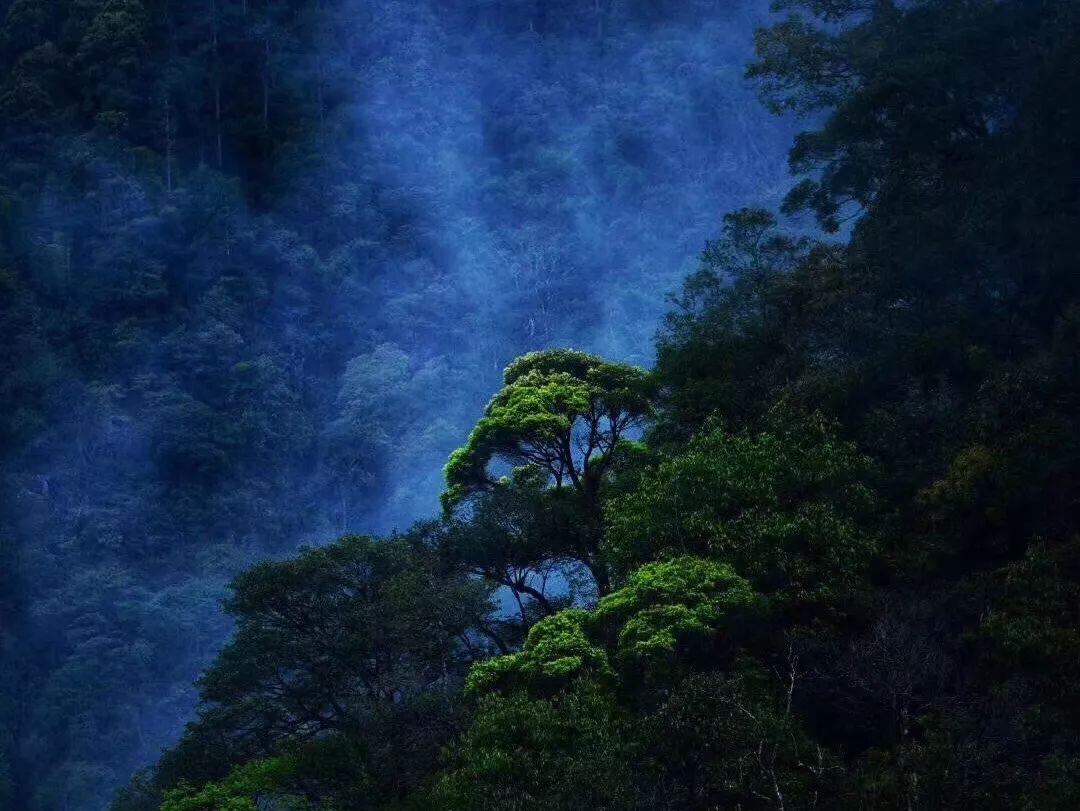 ps如何在保存时只留图层不要背景游戏画面